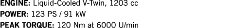 ENGINE: Liquid-Cooled V-Twin, 1203 cc POWER: 123 PS   91 kW PEAK TORQUE: 120 Nm at 6000 U min